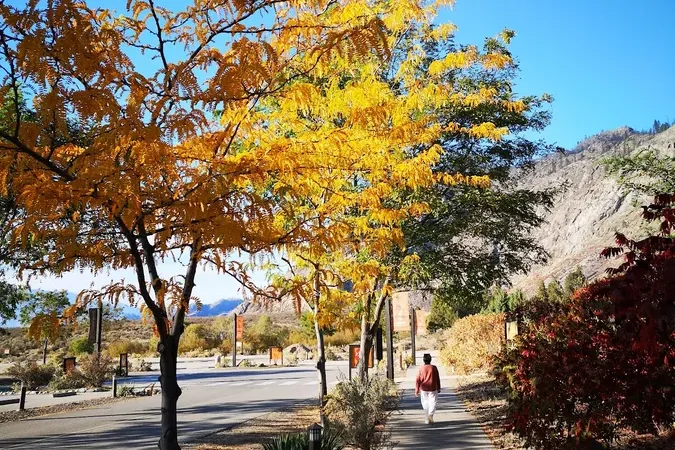 Lake Therapy apparel