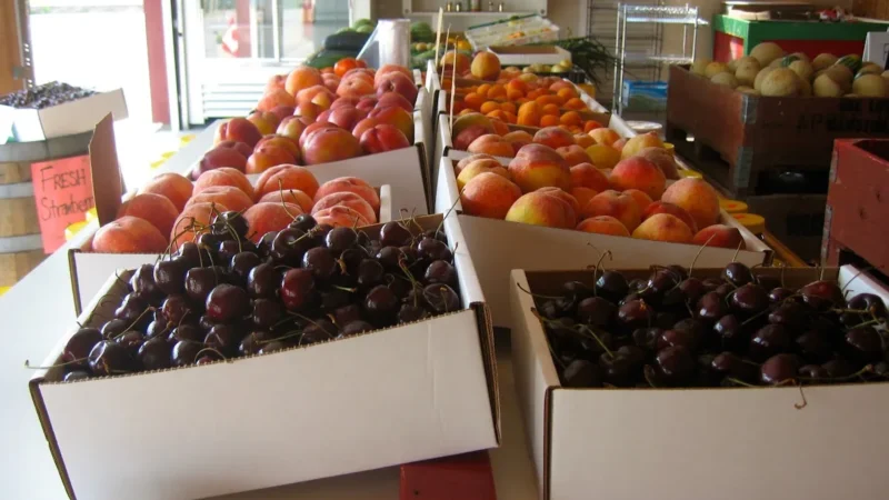 Osoyoos Fruit Market
