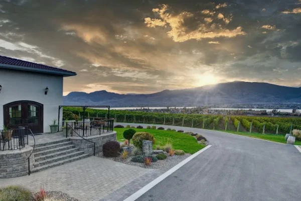 Moon Curser Vineyards