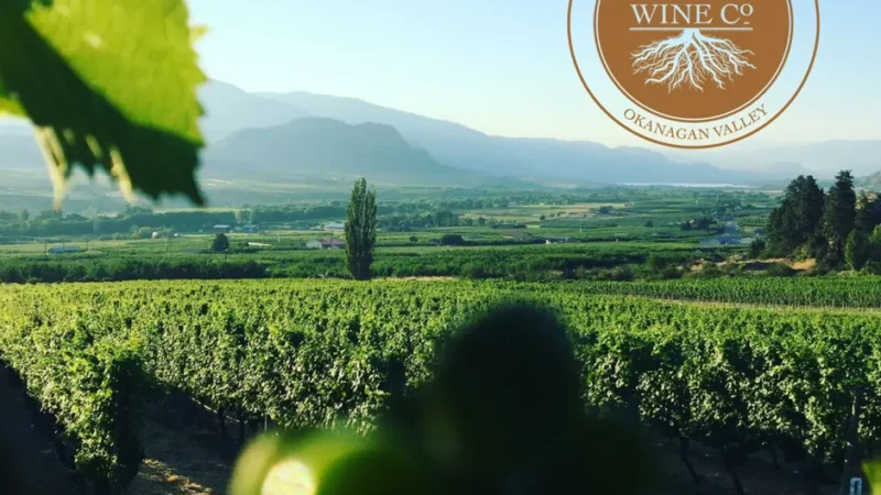 Rust Wine Co – Oliver/Osoyoos