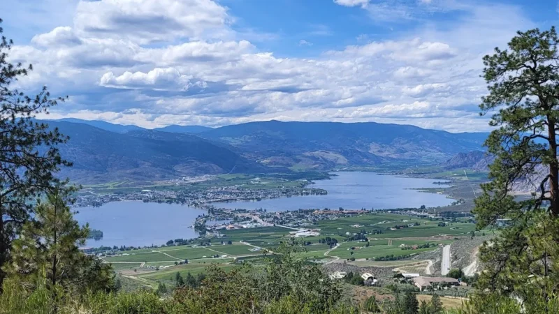 Welcome to Osoyoos lookout