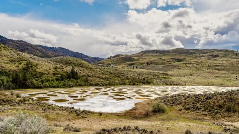 Spotted Lake