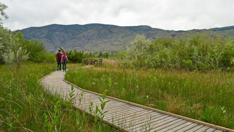 sẃiẃs (Haynes Point) Provincial Campground
