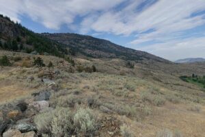 Osoyoos Market on Main