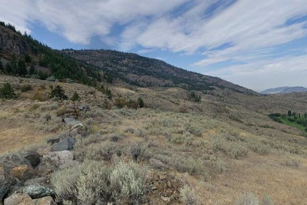 Osoyoos Market on Main