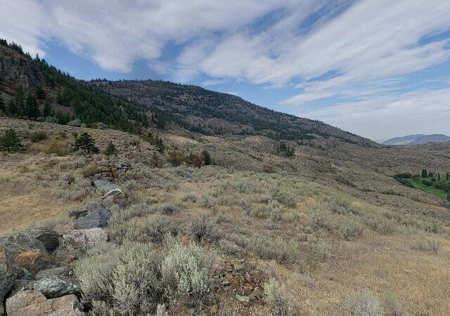 Town Square / Farmers’ Market